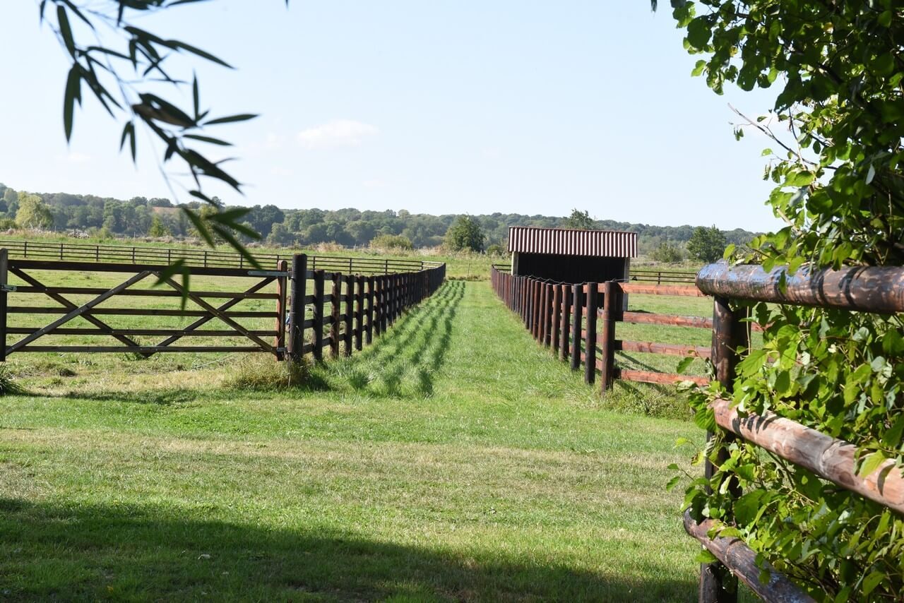 Retraite premium au Haras Domaine de la Brousse